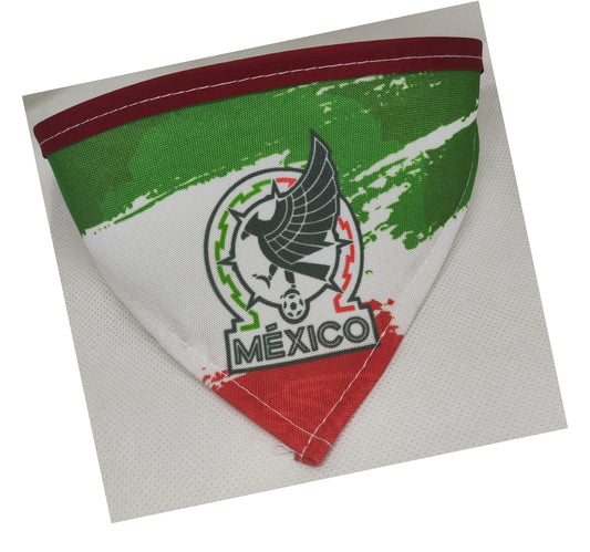 ¡Vamos México!