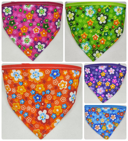 Paquete Flores Primavera